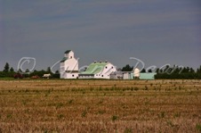 Feudal area farm
June 2006